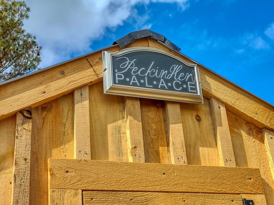 the front of a wooden chicken coop showing a name plate that reads "peckinhen palace"
