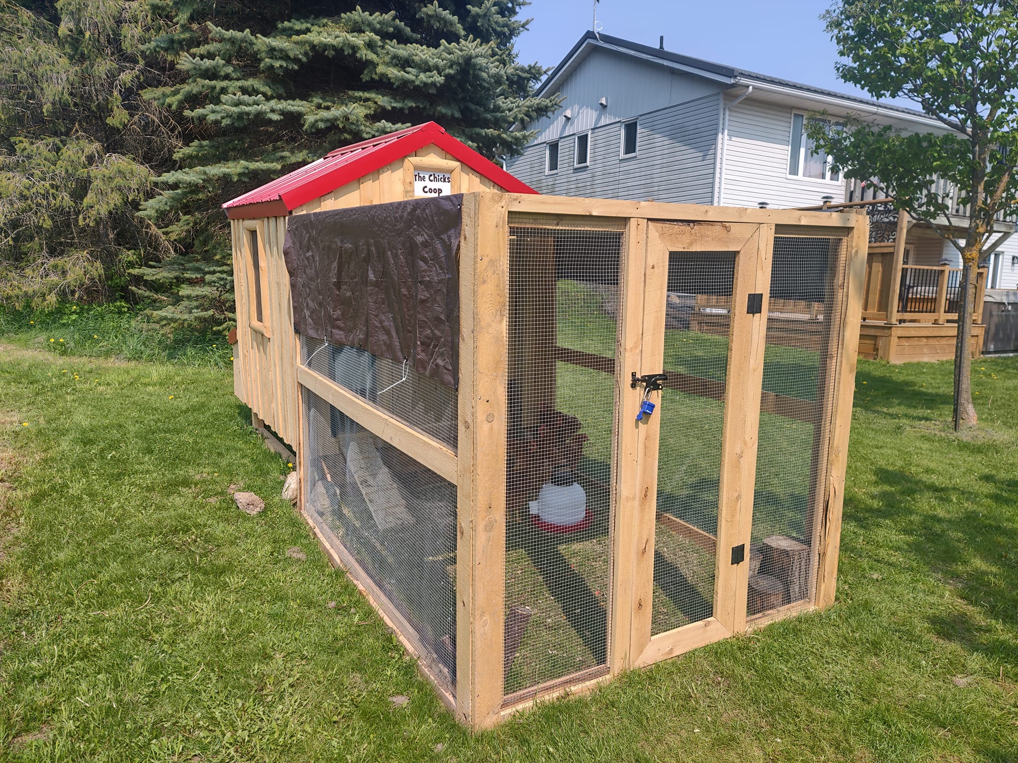 Country Clucker Deluxe Chicken Coop (With Run)