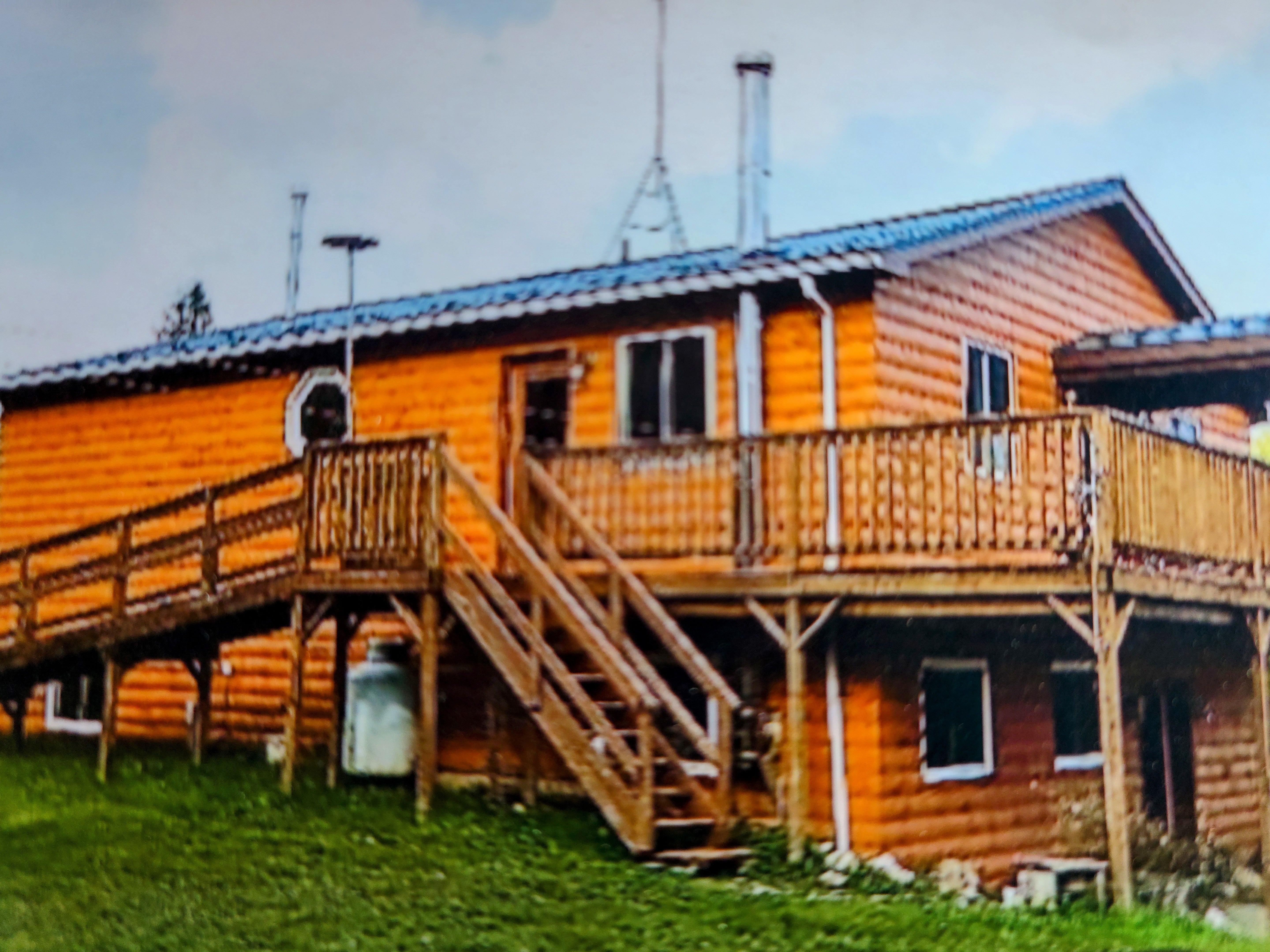 Log Siding (per linear ft.) - Knotty White Cedar