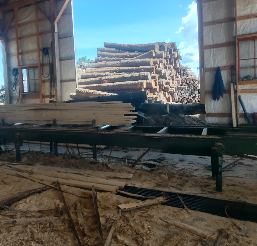 photo inside of the coops, crappers, and cabins sawmill. a stack of logs is shown in the background.