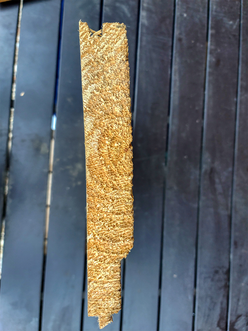 Ship Lap P.3.S. (per linear ft.) - Knotty White Cedar
