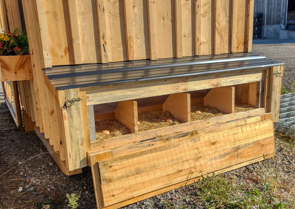 Country Clucker Chicken Coop Coops Cabins Country Clucker Chicken Coop Coops Cabins